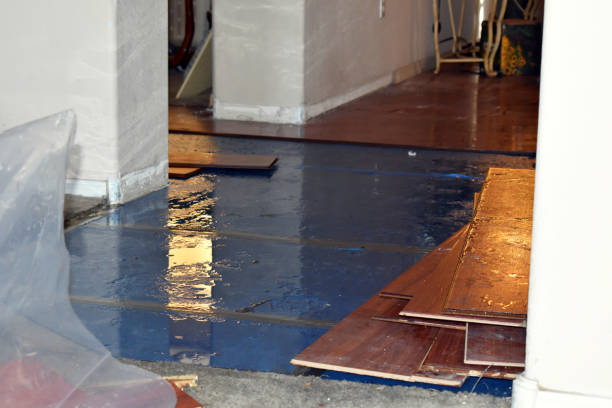 Professional Water Damage Restoration technician working in Ferndale, CA